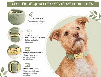 Collier Personnalisé en Velours pour Chien – Gravure Dorée Nom + Numéro | ZooFamily