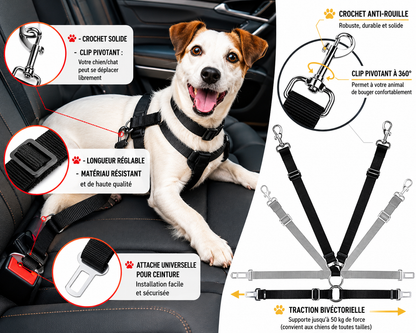 Ceinture de Sécurité Voiture pour Chien & Chat – Clip Universel Réglable | ZooFamily