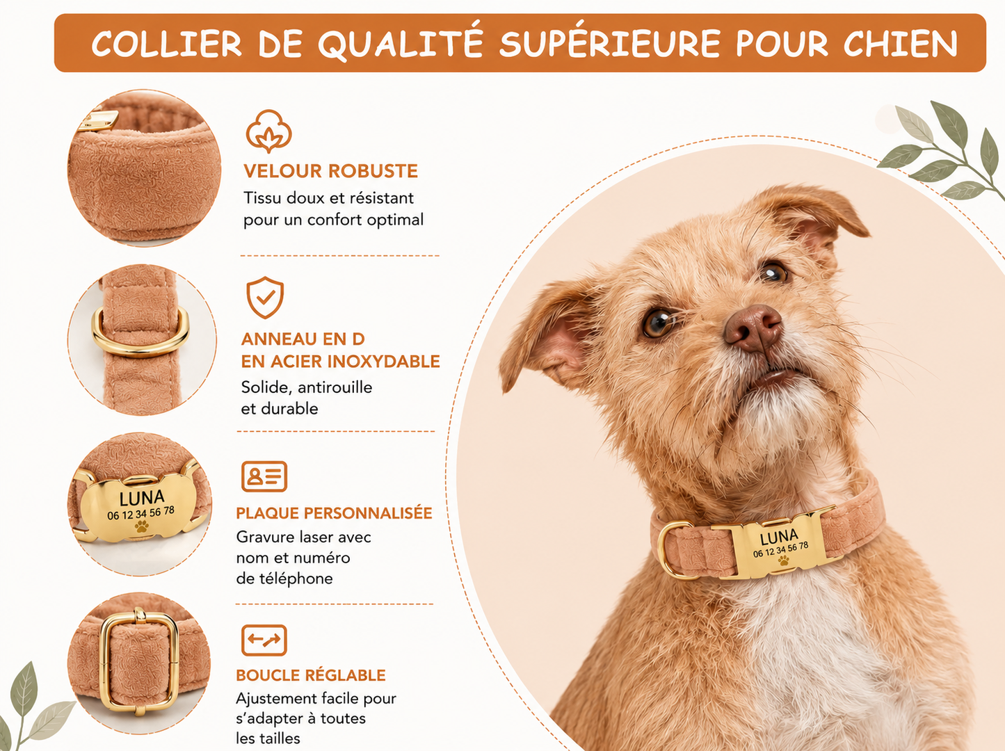 Collier Personnalisé en Velours pour Chien – Gravure Dorée Nom + Numéro | ZooFamily