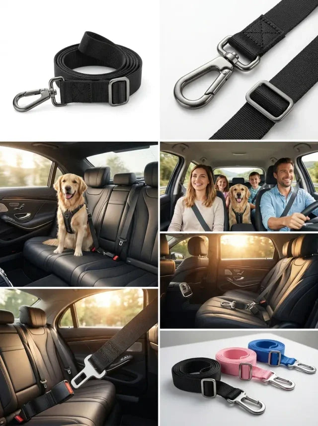 Ceinture de Sécurité Voiture pour Chien & Chat – Clip Universel Réglable | ZooFamily
