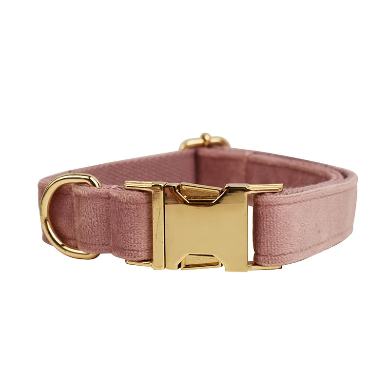 Collier Personnalisé en Velours pour Chien – Gravure Dorée Nom + Numéro | ZooFamily