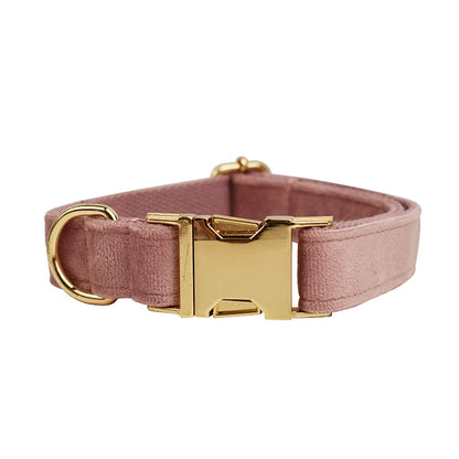 Collier Personnalisé en Velours pour Chien – Gravure Dorée Nom + Numéro | ZooFamily