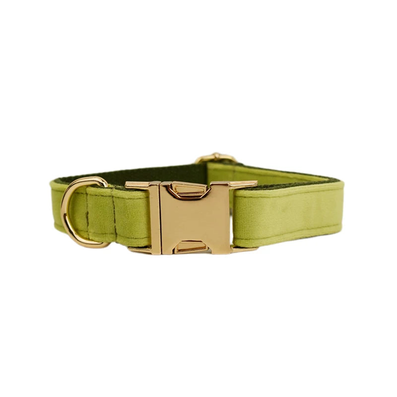 Collier Personnalisé en Velours pour Chien – Gravure Dorée Nom + Numéro | ZooFamily