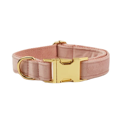 Collier Personnalisé en Velours pour Chien – Gravure Dorée Nom + Numéro | ZooFamily
