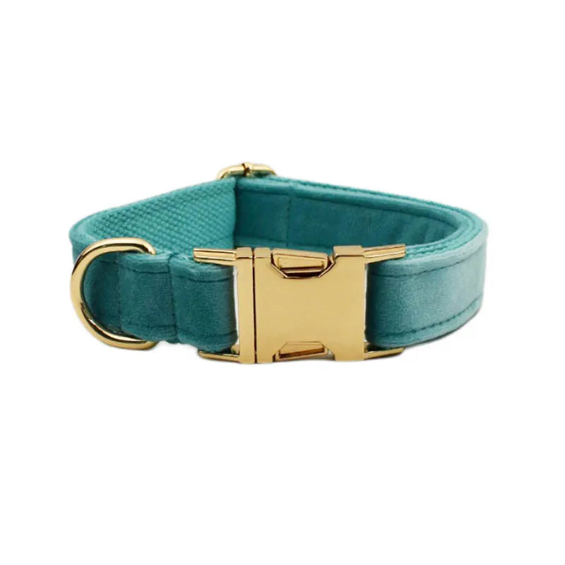 Collier Personnalisé en Velours pour Chien – Gravure Dorée Nom + Numéro | ZooFamily