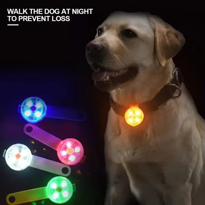 Balise lumineuse LED pour collier – Sécurité de nuit pour chien, étanche & rechargeable USB
