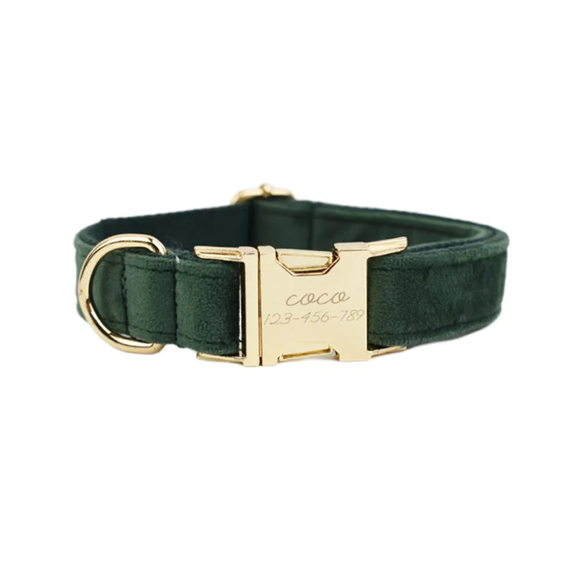Collier Personnalisé en Velours pour Chien – Gravure Dorée Nom + Numéro | ZooFamily