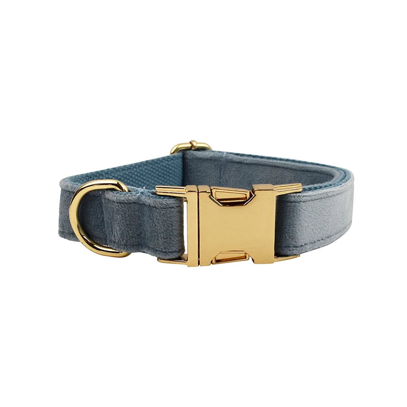 Collier Personnalisé en Velours pour Chien – Gravure Dorée Nom + Numéro | ZooFamily