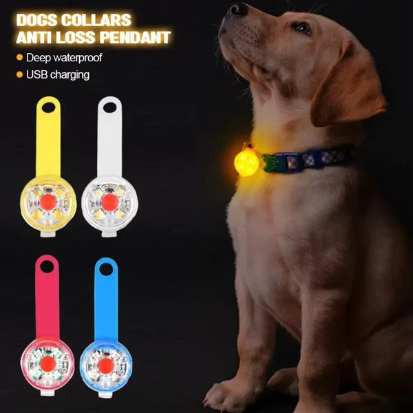 Balise lumineuse LED pour collier – Sécurité de nuit pour chien, étanche & rechargeable USB