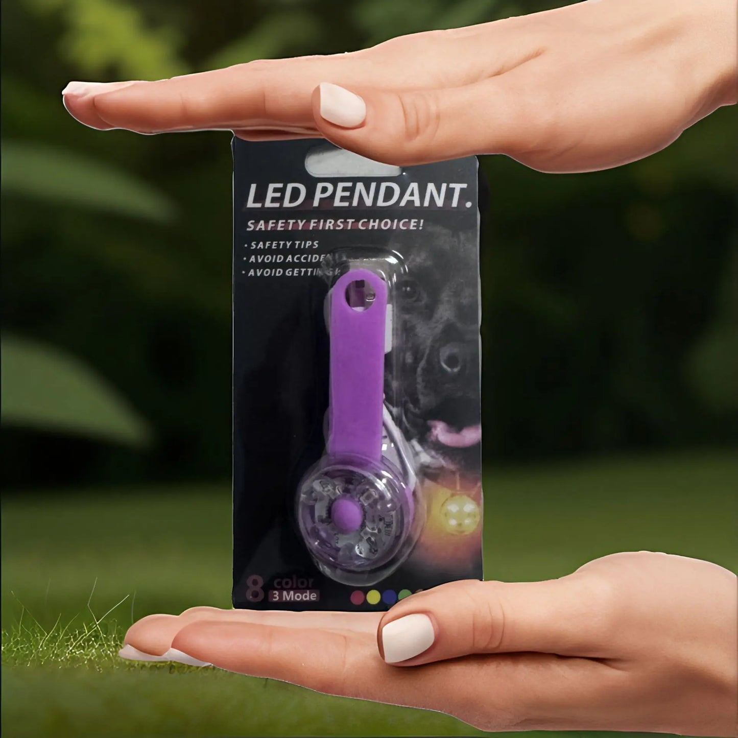 Balise lumineuse LED pour collier – Sécurité de nuit pour chien, étanche & rechargeable USB