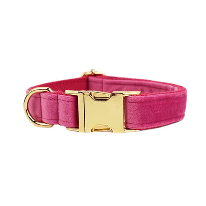 Collier Personnalisé en Velours pour Chien – Gravure Dorée Nom + Numéro | ZooFamily