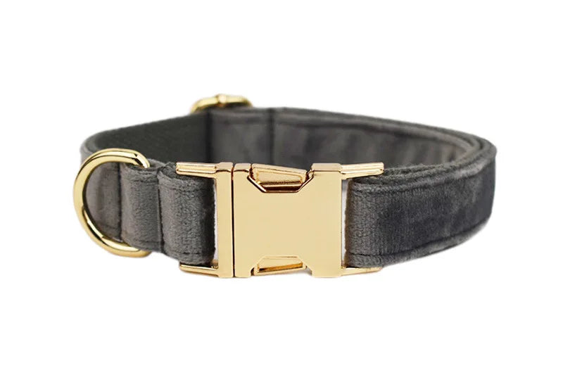 Collier Personnalisé en Velours pour Chien – Gravure Dorée Nom + Numéro | ZooFamily