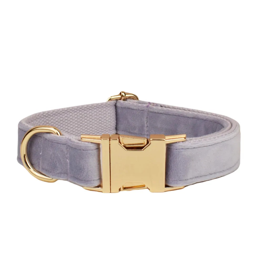 Collier Personnalisé en Velours pour Chien – Gravure Dorée Nom + Numéro | ZooFamily