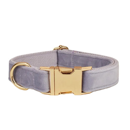 Collier Personnalisé en Velours pour Chien – Gravure Dorée Nom + Numéro | ZooFamily
