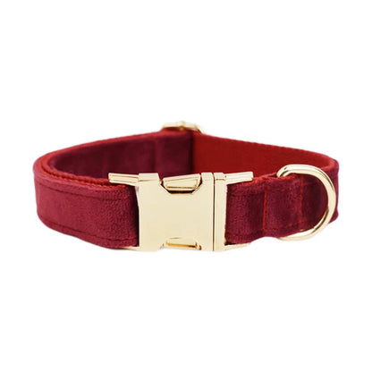 Collier Personnalisé en Velours pour Chien – Gravure Dorée Nom + Numéro | ZooFamily