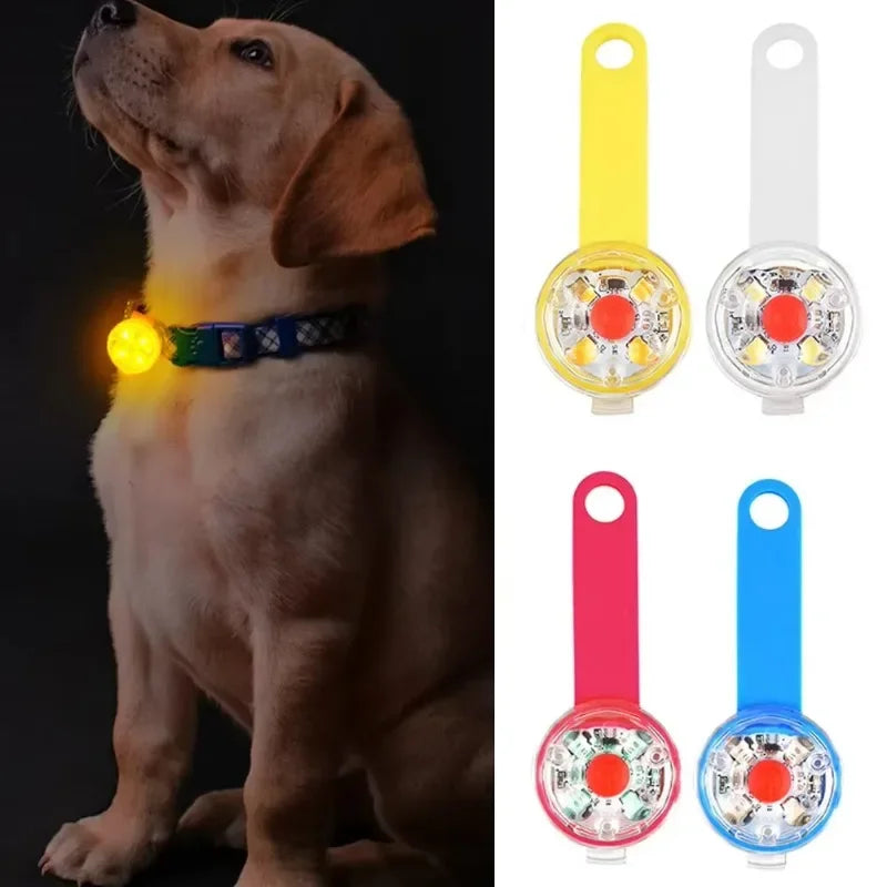 Balise lumineuse LED pour collier – Sécurité de nuit pour chien, étanche & rechargeable USB