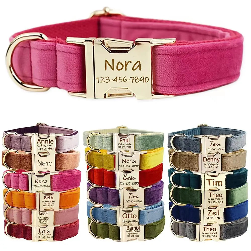 Collier Personnalisé en Velours pour Chien – Gravure Dorée Nom + Numéro | ZooFamily