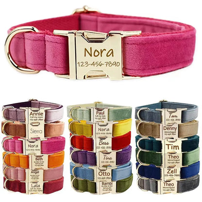 Collier Personnalisé en Velours pour Chien – Gravure Dorée Nom + Numéro | ZooFamily
