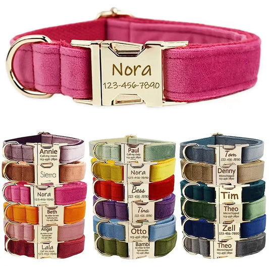 Collier Personnalisé en Velours pour Chien – Gravure Dorée Nom + Numéro | ZooFamily