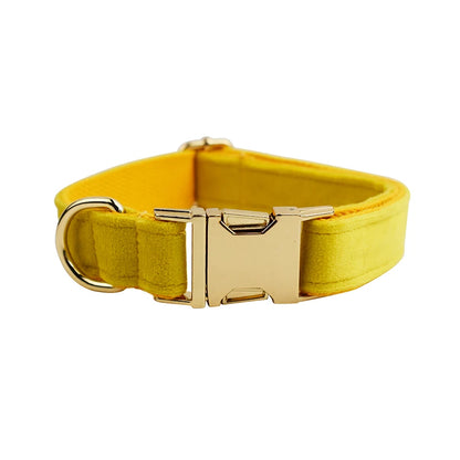 Collier Personnalisé en Velours pour Chien – Gravure Dorée Nom + Numéro | ZooFamily