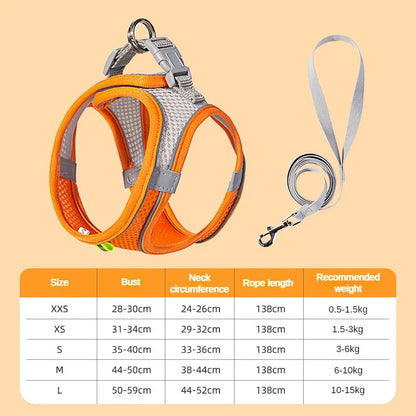Harnais respirant + laisse pour petit chien & chat – Ajustable et ultra confortable (XXS à L)