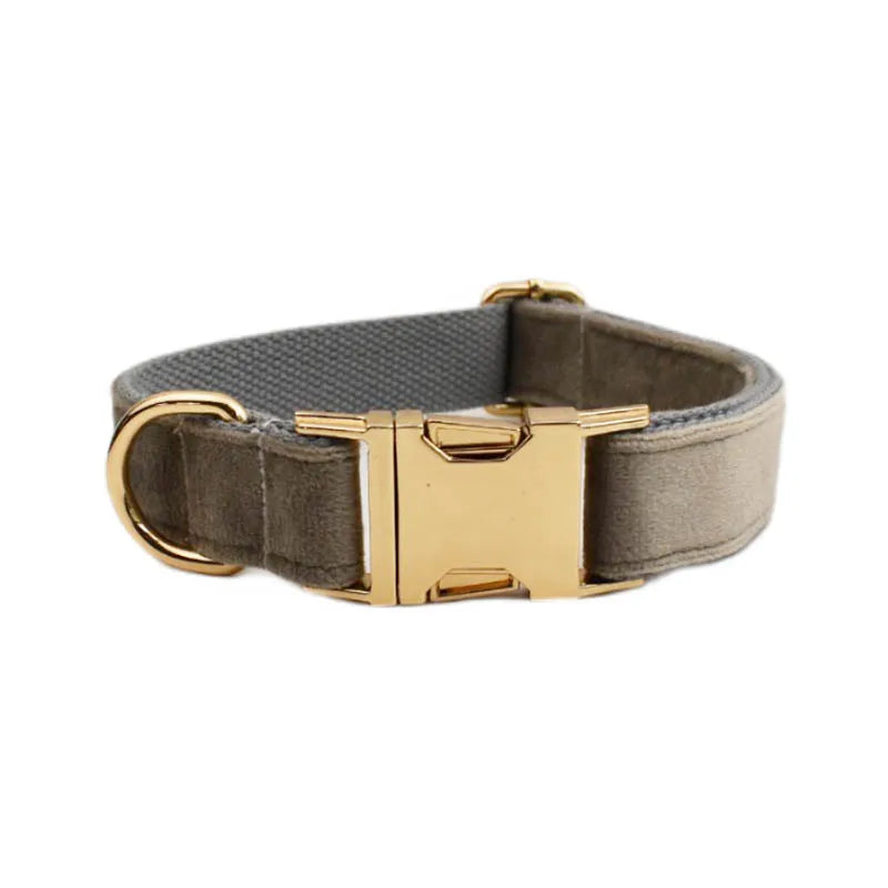 Collier Personnalisé en Velours pour Chien – Gravure Dorée Nom + Numéro | ZooFamily