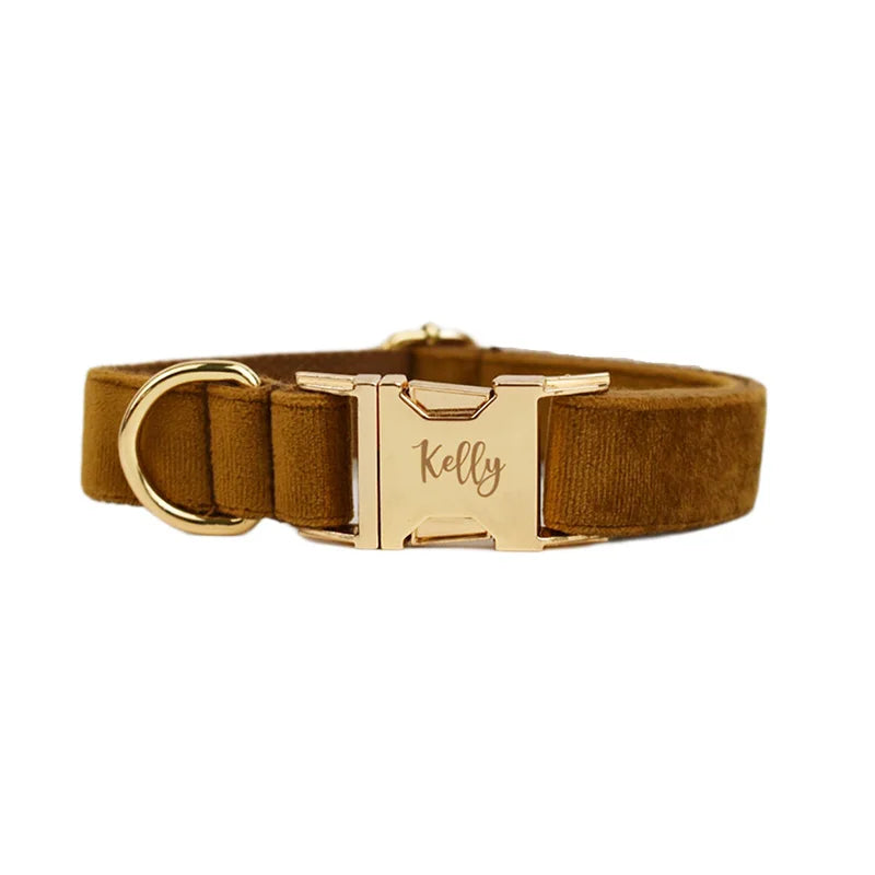 Collier Personnalisé en Velours pour Chien – Gravure Dorée Nom + Numéro | ZooFamily