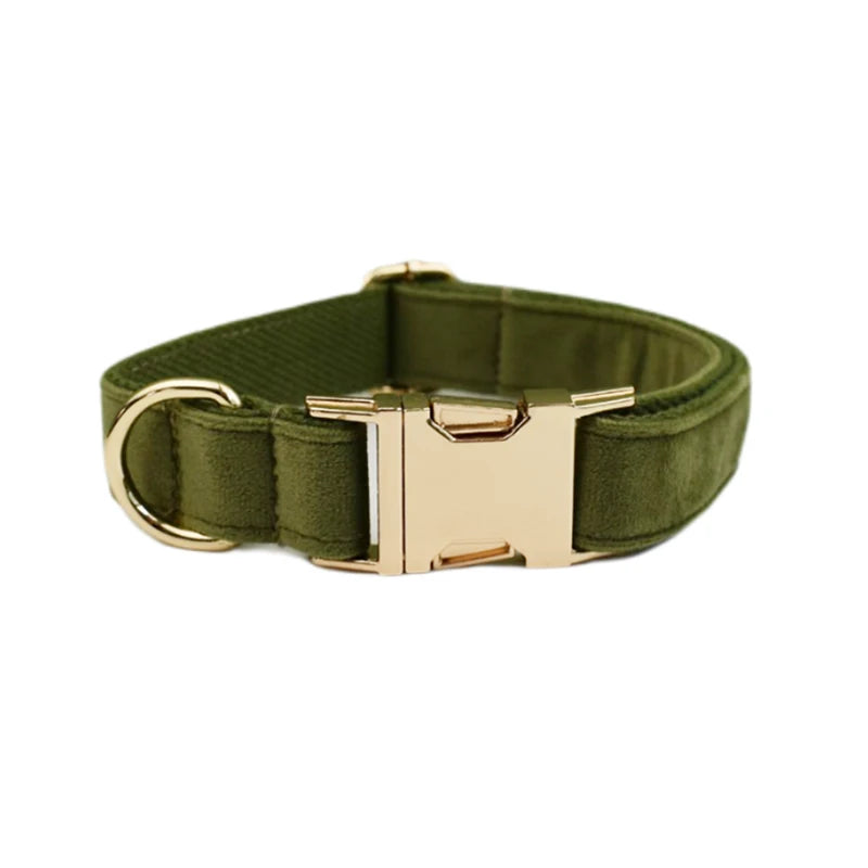 Collier Personnalisé en Velours pour Chien – Gravure Dorée Nom + Numéro | ZooFamily