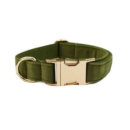 Collier Personnalisé en Velours pour Chien – Gravure Dorée Nom + Numéro | ZooFamily