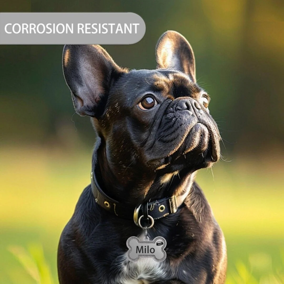 Médaillon d’identification pailleté pour chien & chat – Personnalisé nom + numéro (double face)