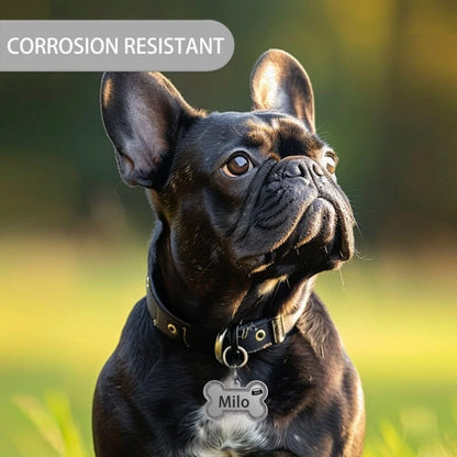 Médaillon d’identification pailleté pour chien & chat – Personnalisé nom + numéro (double face)