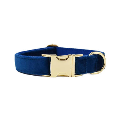 Collier Personnalisé en Velours pour Chien – Gravure Dorée Nom + Numéro | ZooFamily