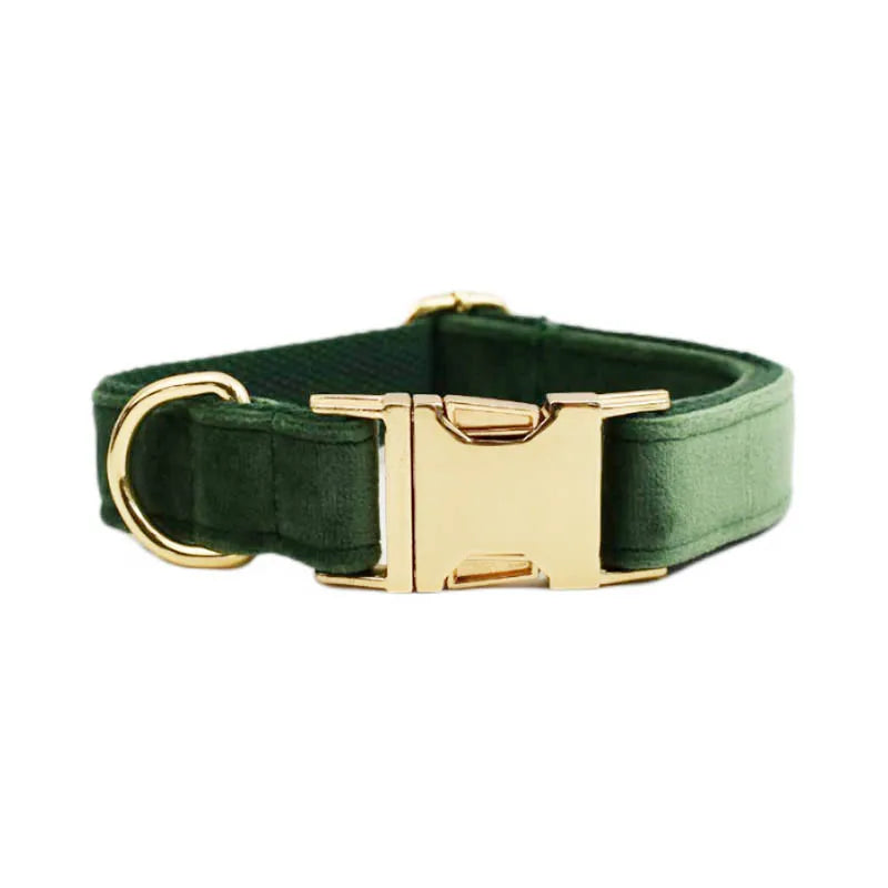 Collier Personnalisé en Velours pour Chien – Gravure Dorée Nom + Numéro | ZooFamily