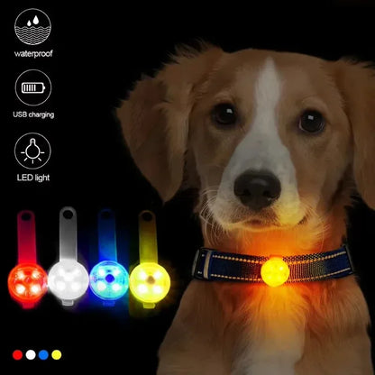 Balise lumineuse LED pour collier – Sécurité de nuit pour chien, étanche & rechargeable USB