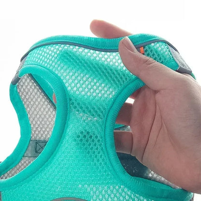 Harnais respirant + laisse pour petit chien & chat – Ajustable et ultra confortable (XXS à L)