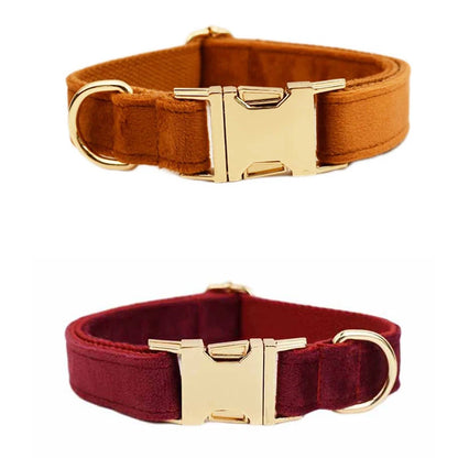 Collier Personnalisé en Velours pour Chien – Gravure Dorée Nom + Numéro | ZooFamily