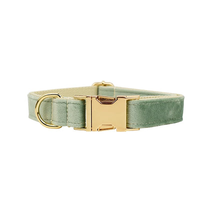 Collier Personnalisé en Velours pour Chien – Gravure Dorée Nom + Numéro | ZooFamily