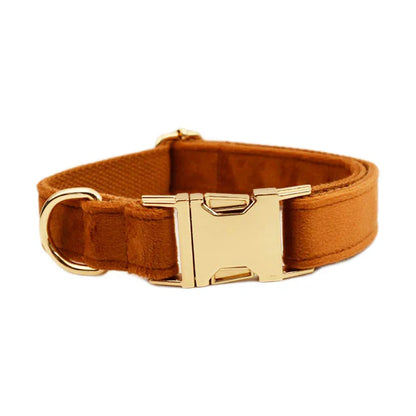 Collier Personnalisé en Velours pour Chien – Gravure Dorée Nom + Numéro | ZooFamily