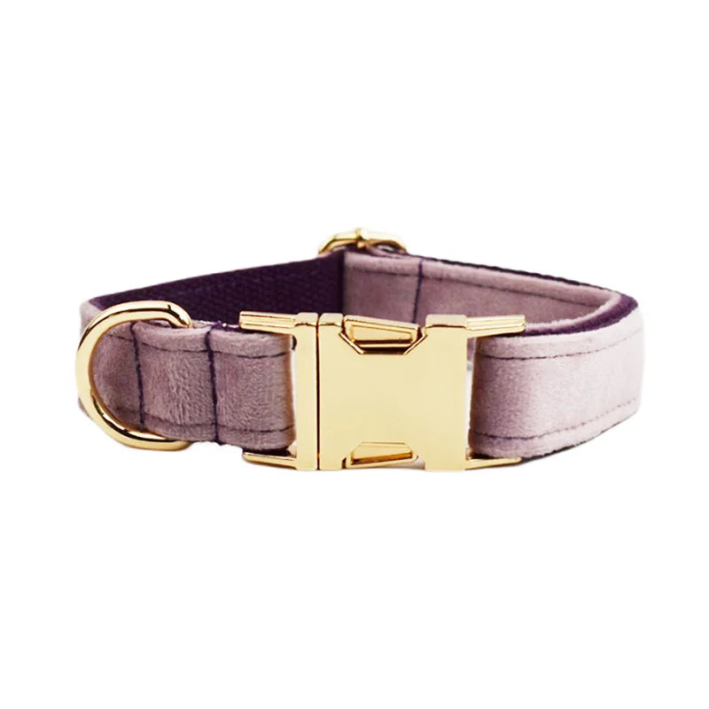 Collier Personnalisé en Velours pour Chien – Gravure Dorée Nom + Numéro | ZooFamily