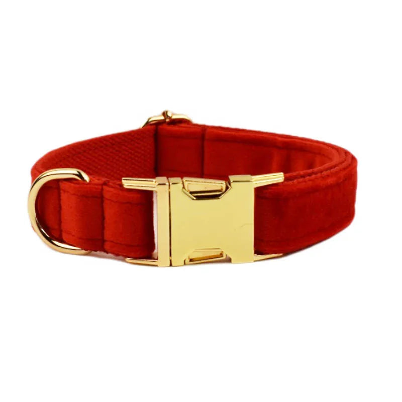 Collier Personnalisé en Velours pour Chien – Gravure Dorée Nom + Numéro | ZooFamily