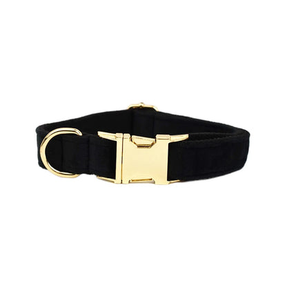 Collier Personnalisé en Velours pour Chien – Gravure Dorée Nom + Numéro | ZooFamily