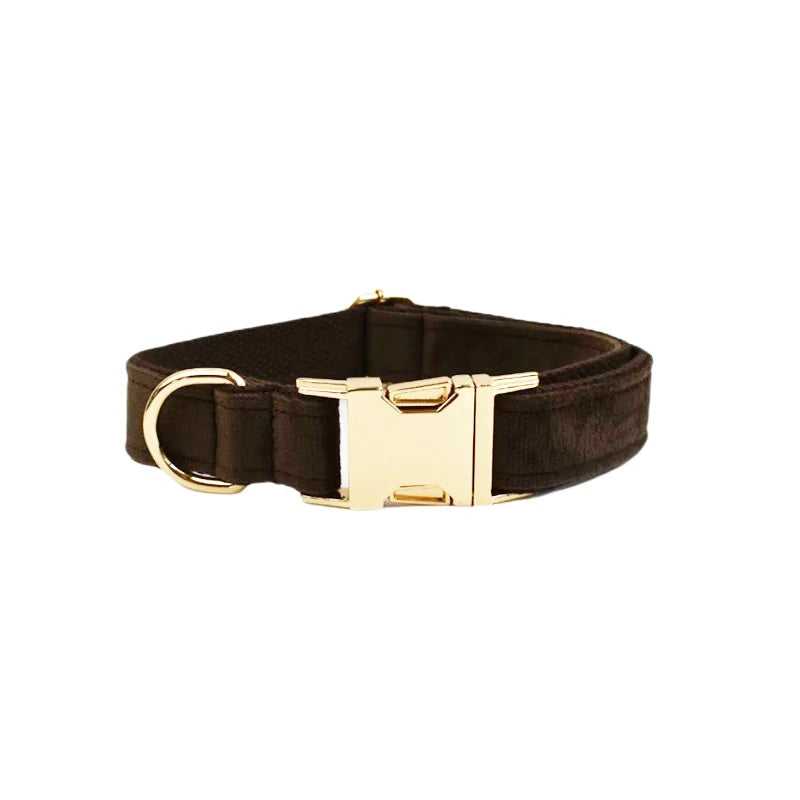 Collier Personnalisé en Velours pour Chien – Gravure Dorée Nom + Numéro | ZooFamily