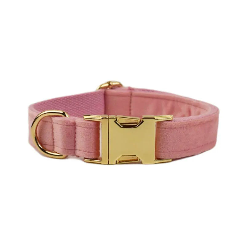 Collier Personnalisé en Velours pour Chien – Gravure Dorée Nom + Numéro | ZooFamily