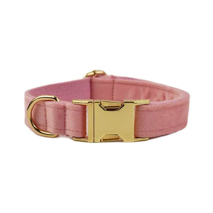 Collier Personnalisé en Velours pour Chien – Gravure Dorée Nom + Numéro | ZooFamily