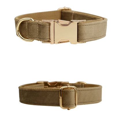 Collier Personnalisé en Velours pour Chien – Gravure Dorée Nom + Numéro | ZooFamily