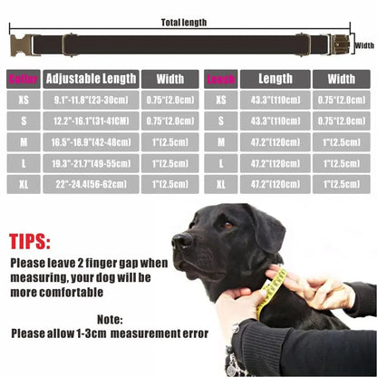Collier Personnalisé Coton & Chanvre pour Chien – Gravé Nom + Numéro, Anti-Traction | ZooFamily